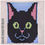 Thumbnail: Biscuit The Black Cat
