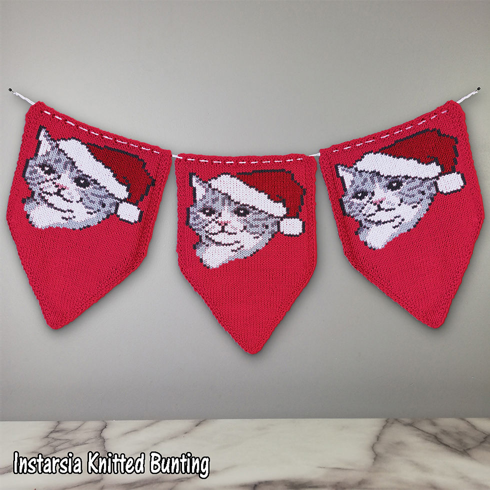 Thumbnail: Christmas Teddy the Cat