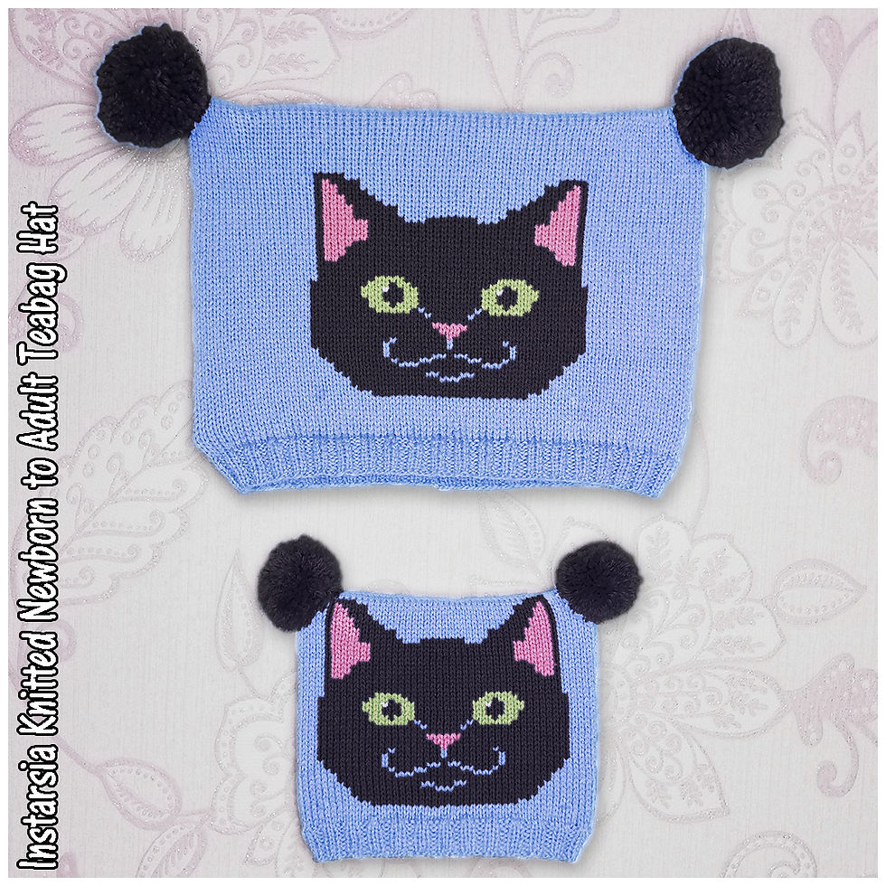 Thumbnail: Biscuit The Black Cat