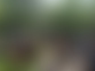 Saint-Michel : Un laboratoire vibrant de la transition socio-écologique
