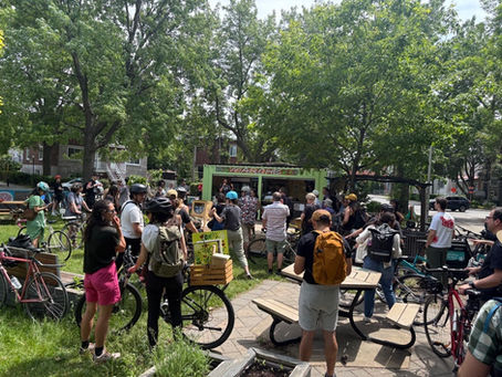 Saint-Michel : Un laboratoire vibrant de la transition socio-écologique