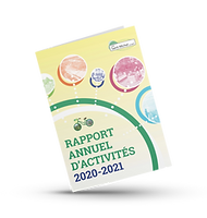 Rapport annuel Vivre Saint-Michel en santé  2020-2021
