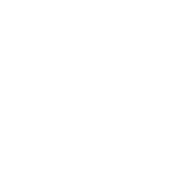 bumperball (1).png