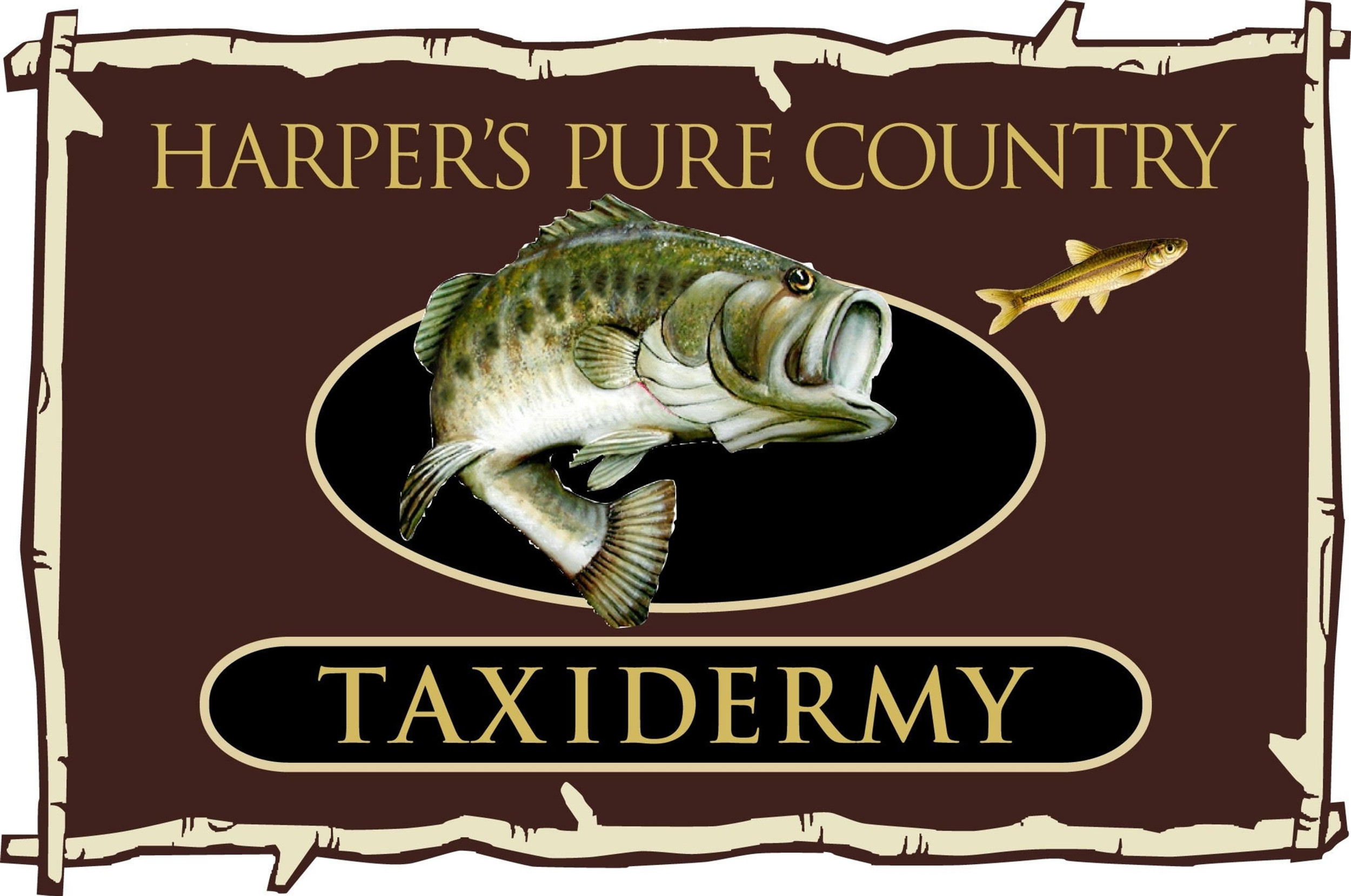 Taxidermy Harper's Pure Country Taxidermy Damascus