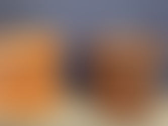 Check out these new shop items