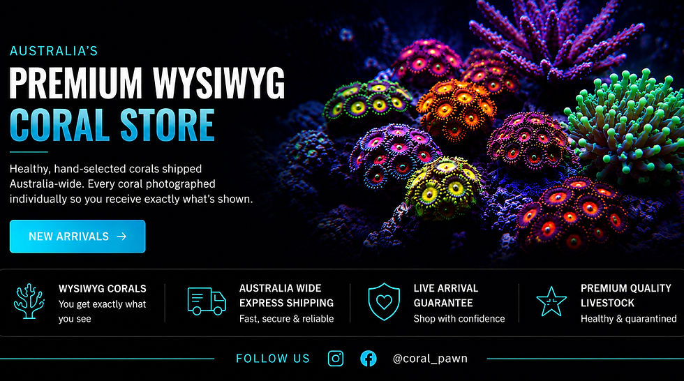coral-pawn-home-page