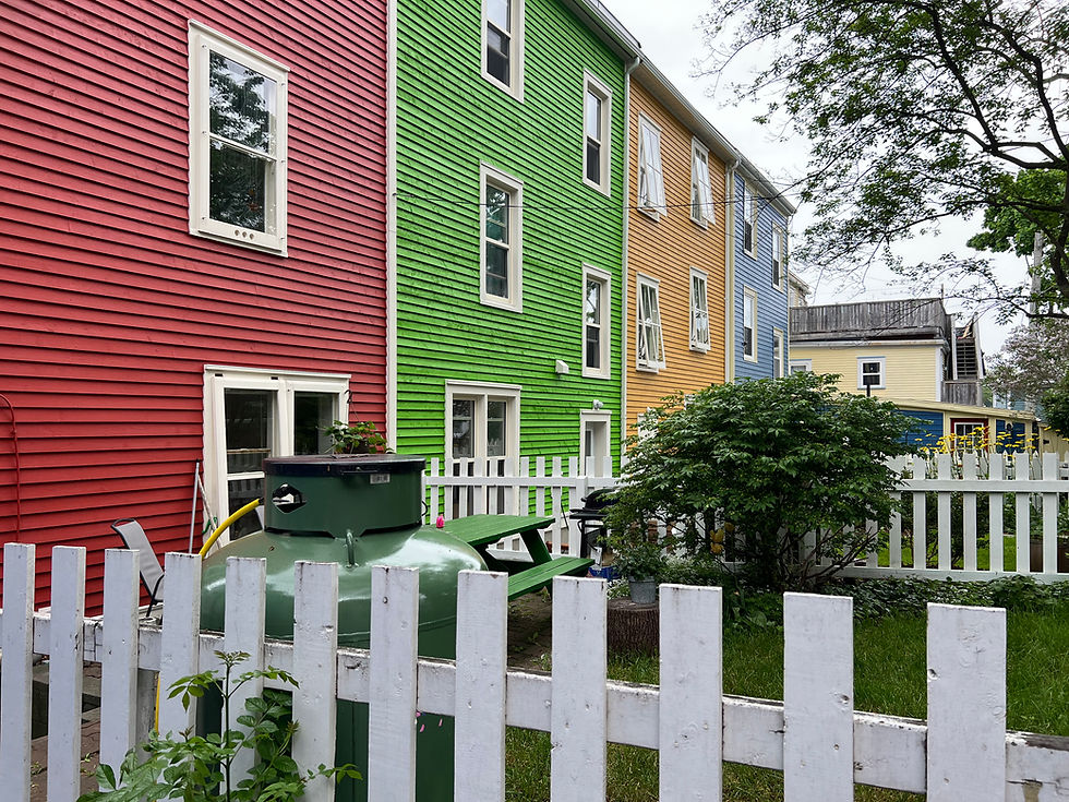 Colourful houses in St. John's