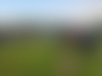 LAPA atsinaujino: priimtos naujos narės, ketverių metų kadencijai išrinkta prezidentė ir taryba