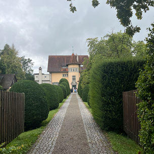 Kvietimas. LAPA organizuoja Įvado į analitinę psichoterapiją grupę