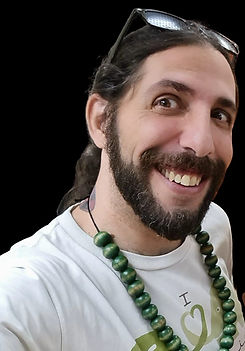 צבי דיגידיז