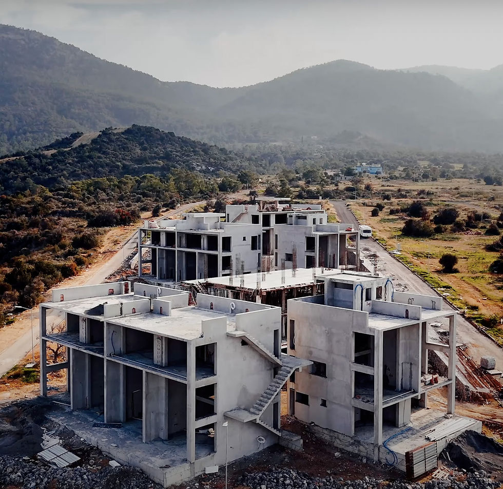 Screenshot 2025-02-25 at 11.17.02 AM.jpg