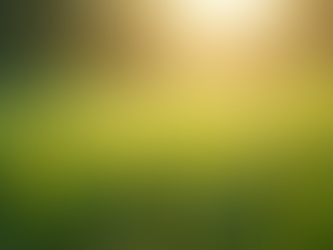 Rediscovering Grounding The Untold Benefits of Barefoot Connection with Nature for Nervous System and Emotional Wellness