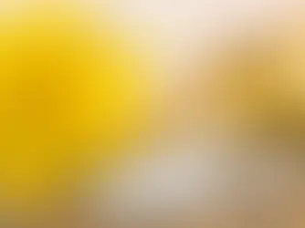 Vitamins Minerals Supplements – Update