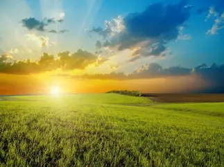 Dimming The Sun – Confirmed