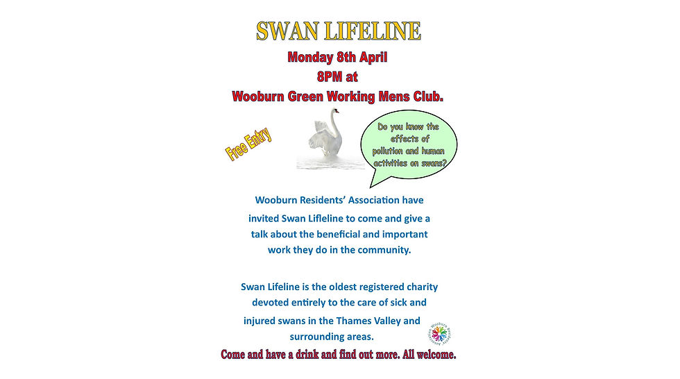 Swan Life Talk