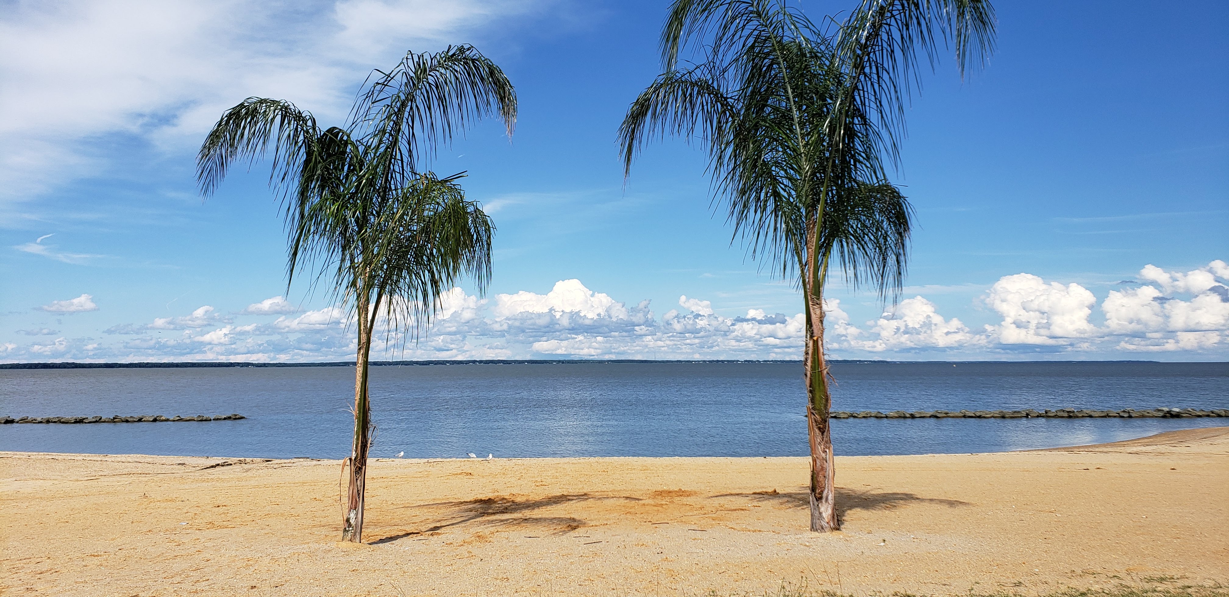 Summer in Colonial Beach