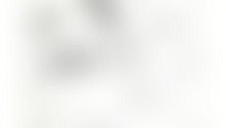 [2024年9月号]　調べる学習コンクール