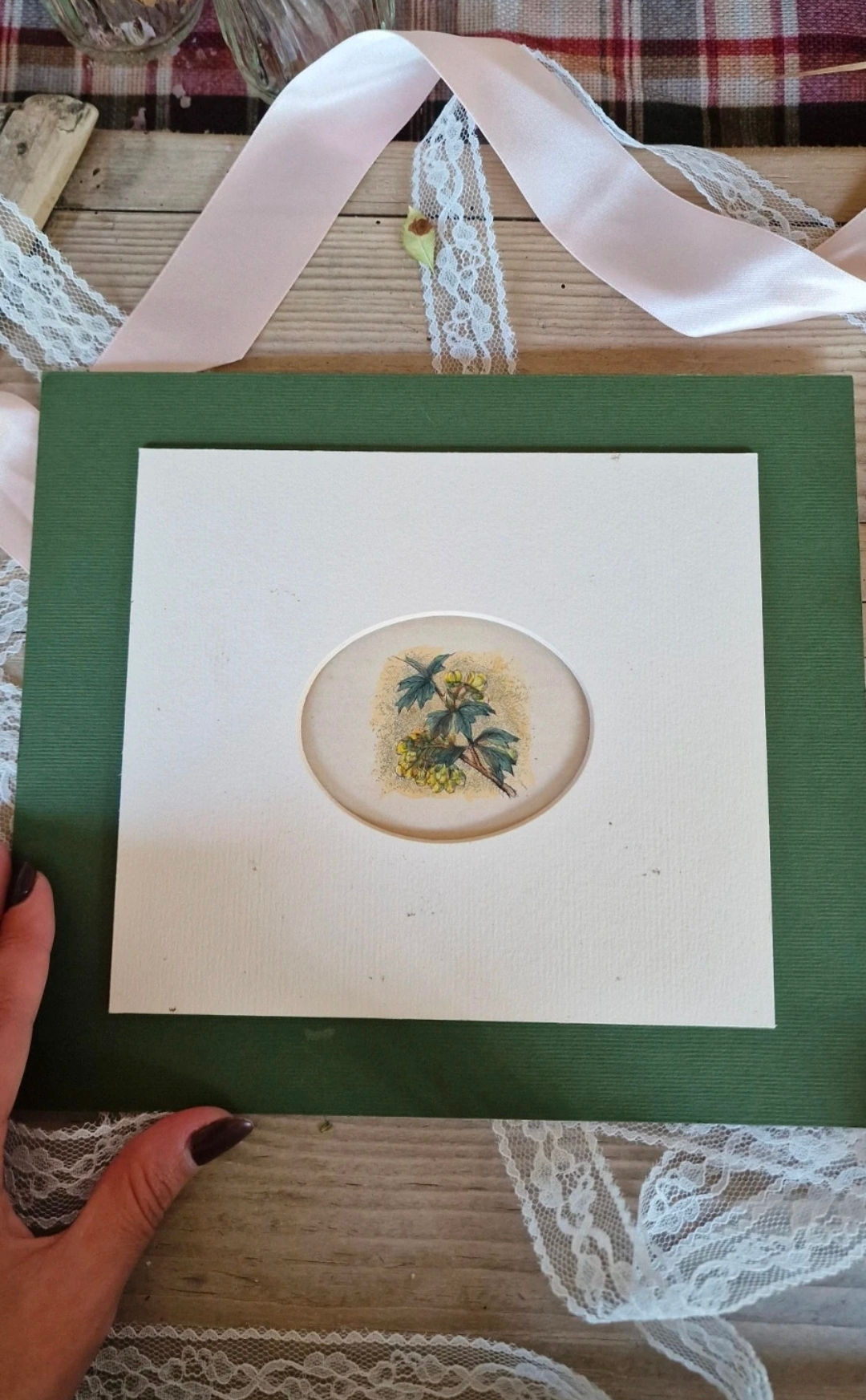 Stampa botanica antica – Familiar Garden Flowers