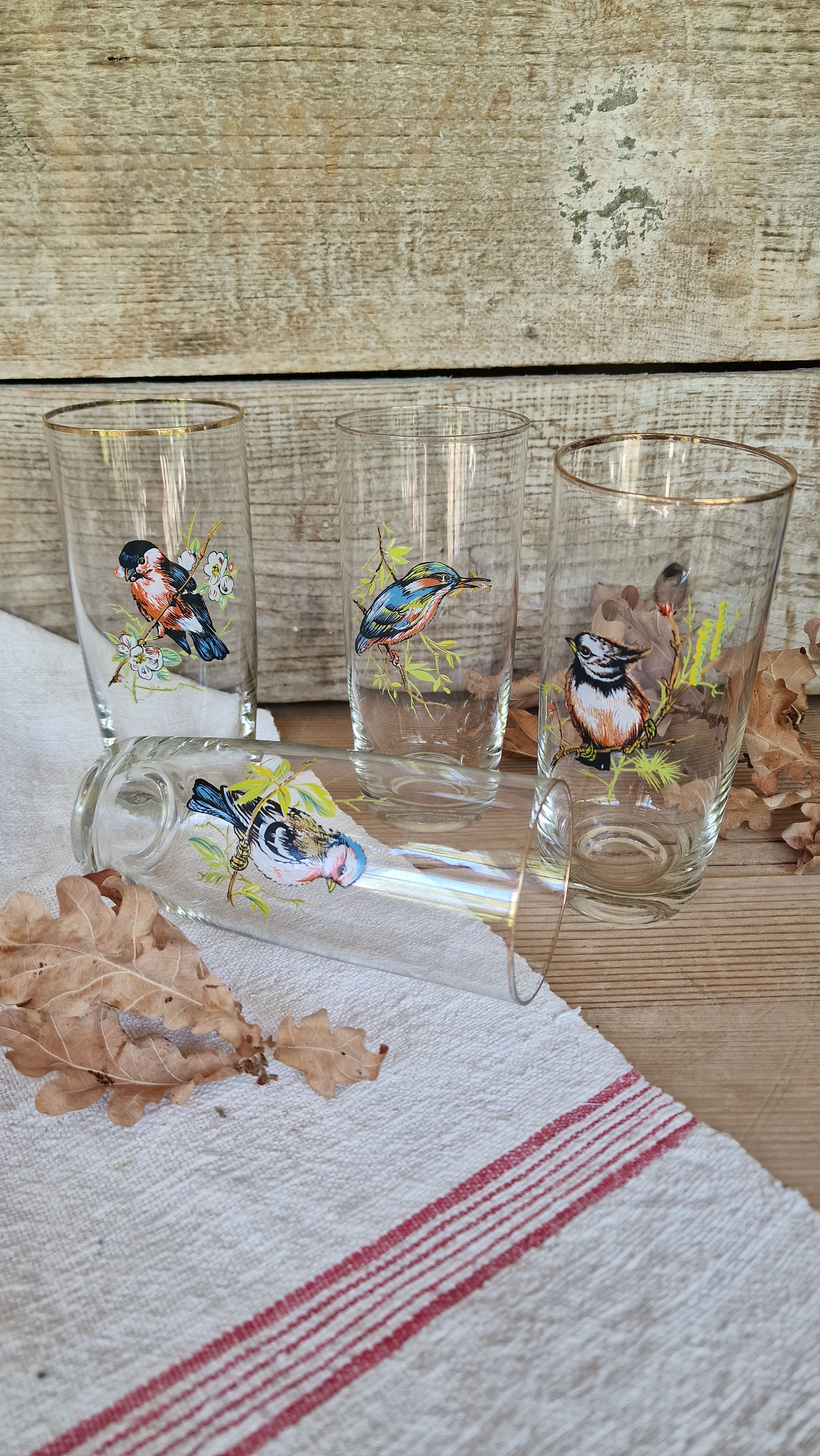 Set bicchieri uccellini