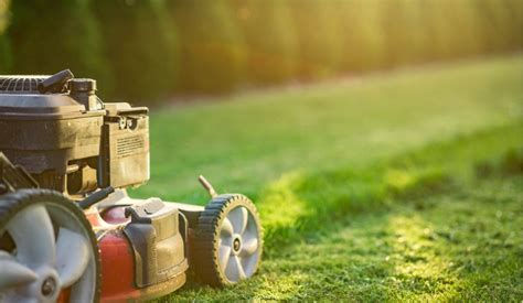 Thumbnail: Greener View Services LLC