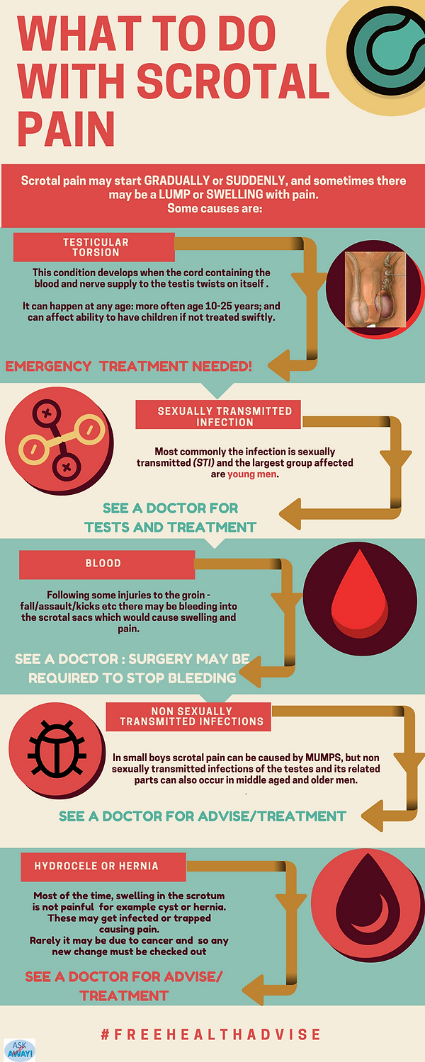 Infogram showing how some causes of scrotal pain should be treated.