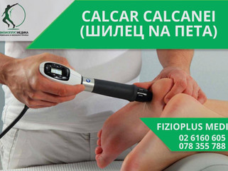 CALCAR CALCANEI