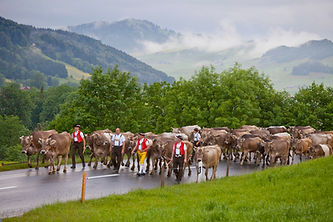 Brauchtum Appenzellerland