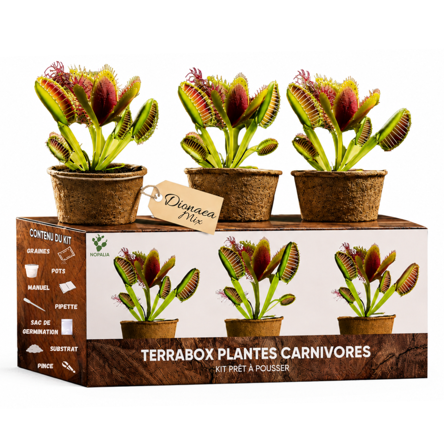 TERRABOX Plantes carnivores