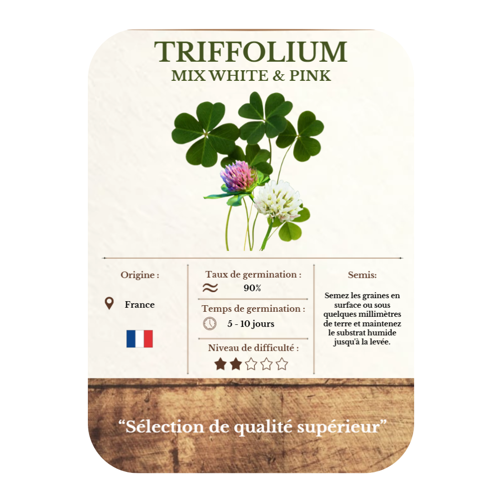 Graines de Trifolium Mix