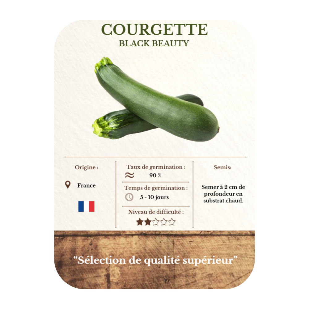 Graines de courgettes "Black beauty" BIO