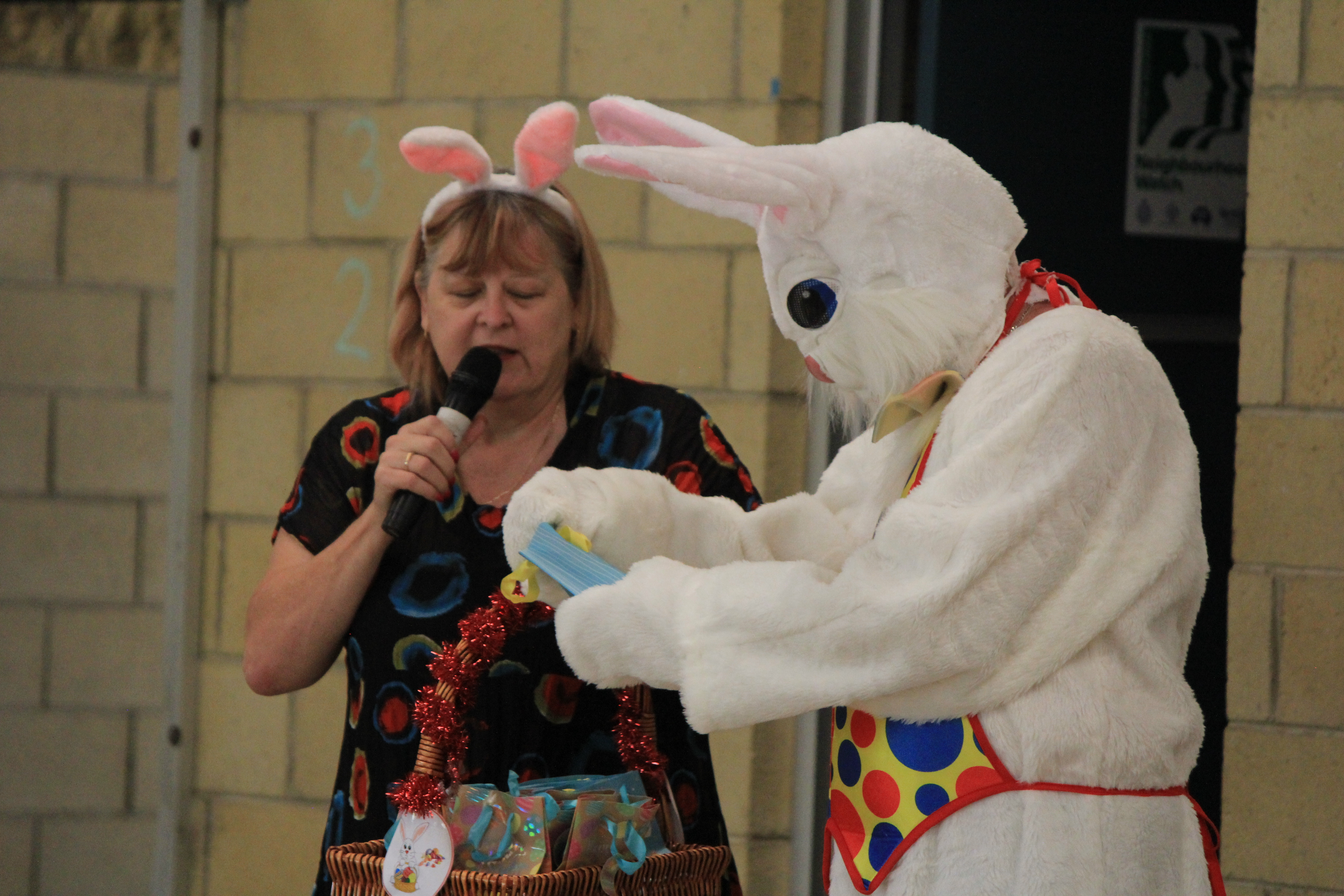 Winrow bunny
