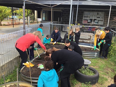 everyone planting crop