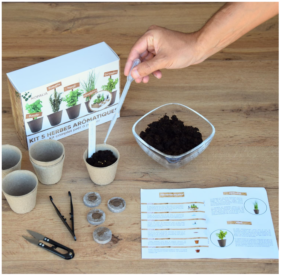Miniature : Kit 5 Herbes arômatiques