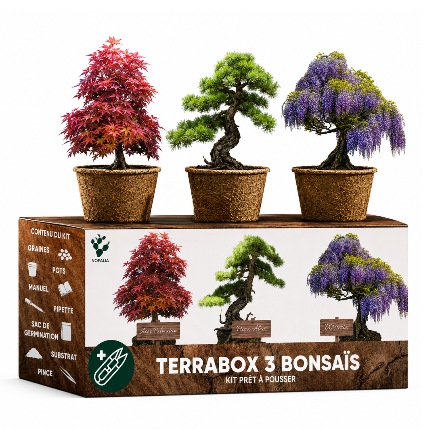 TERRABOX 3 Bonsaïs