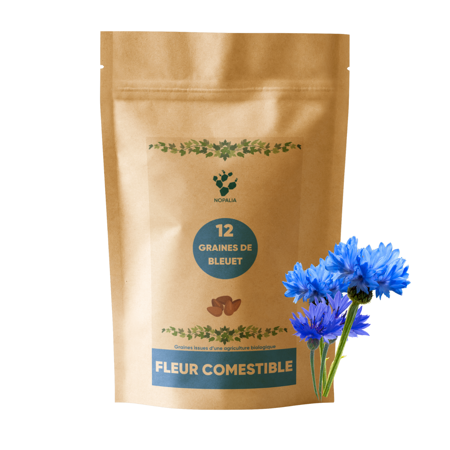 12 Graines de fleur de Bleuet