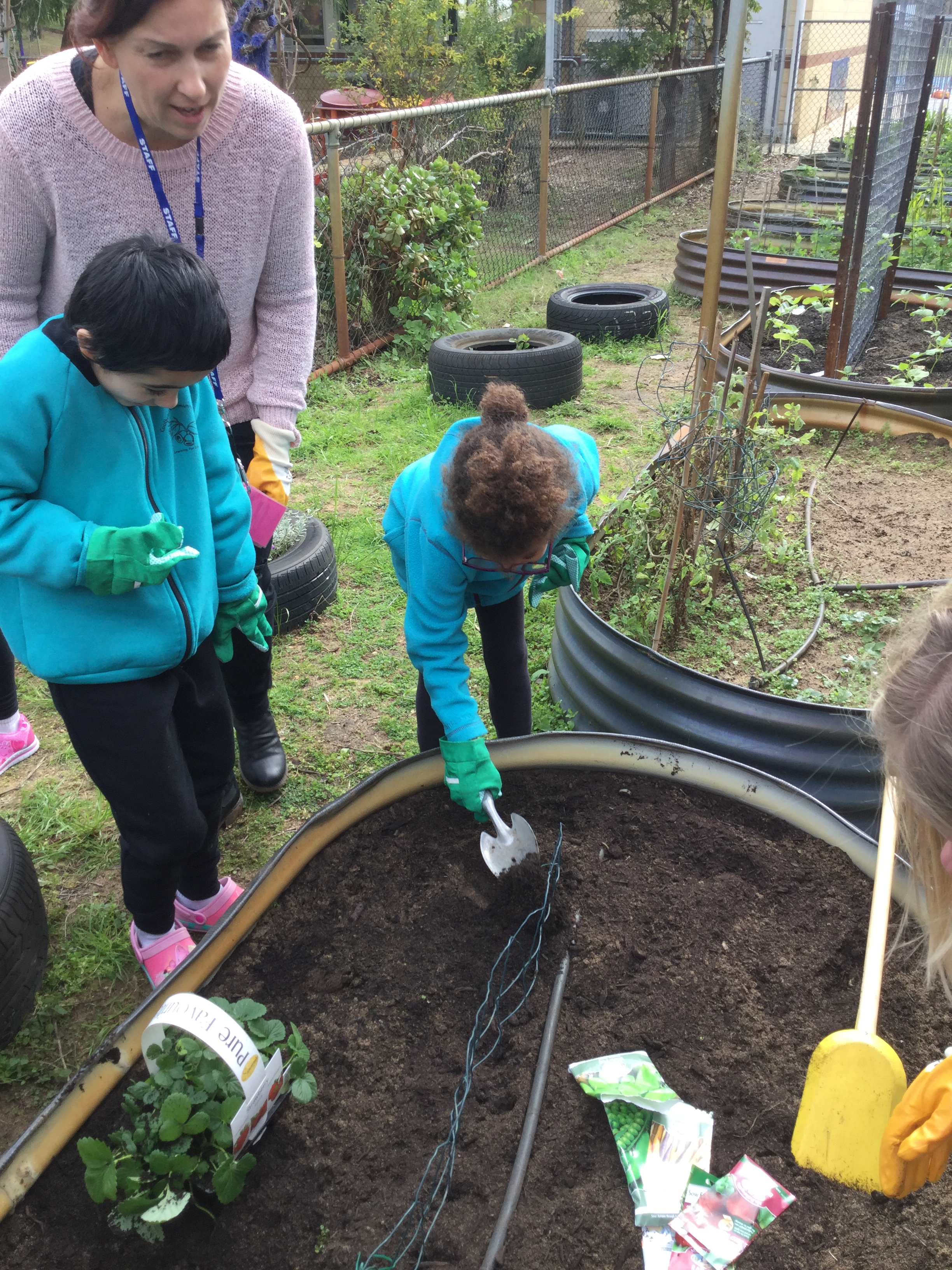 grace and mira planting