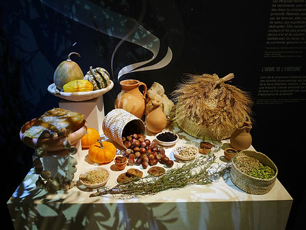 P1060205_.jpg