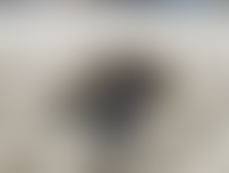 Hola ! Hoy te vamos a contar 7 pasos o consejos para encontrar a tu mascota perdida: