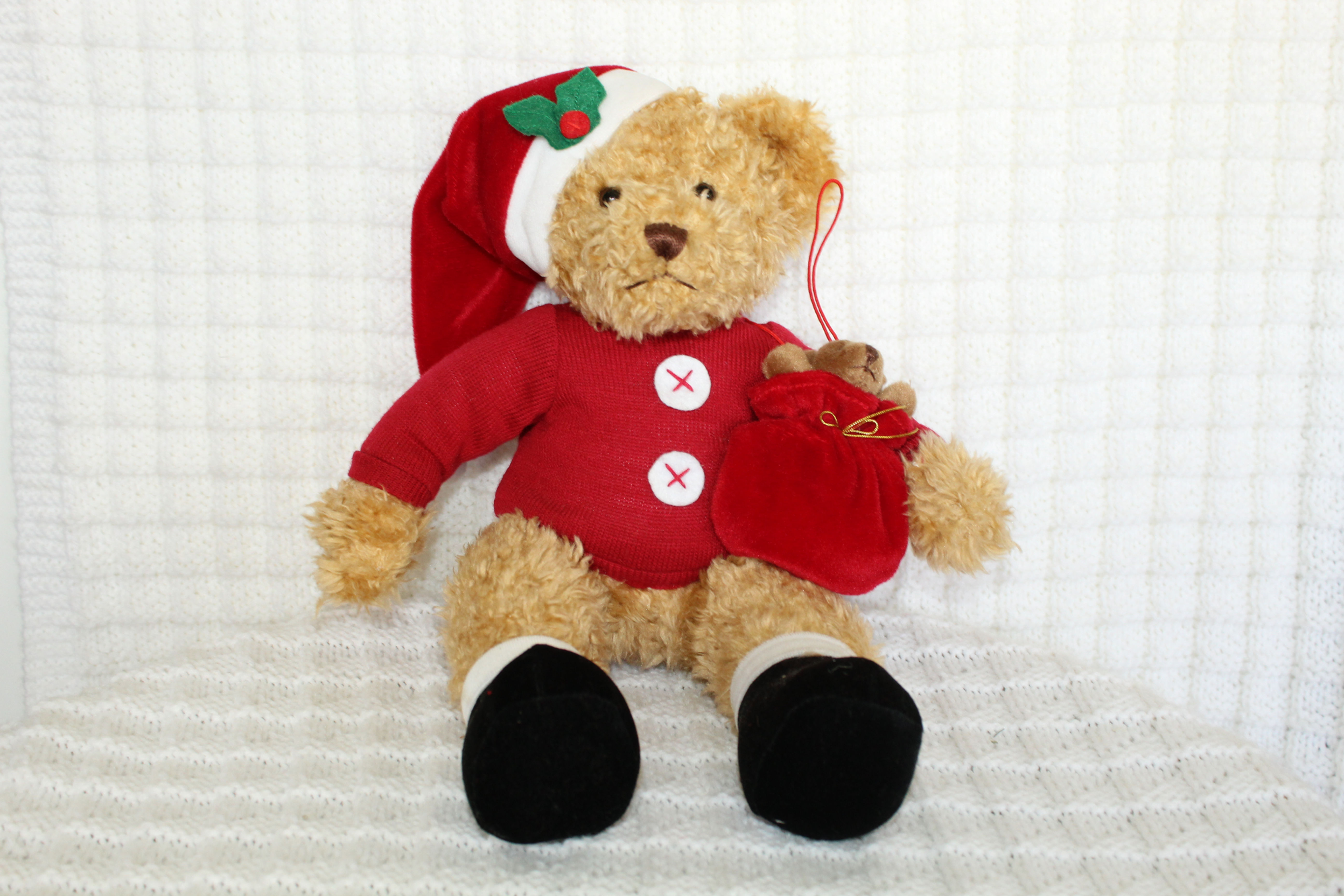 SAMMY SANTA PLUSH BEAR