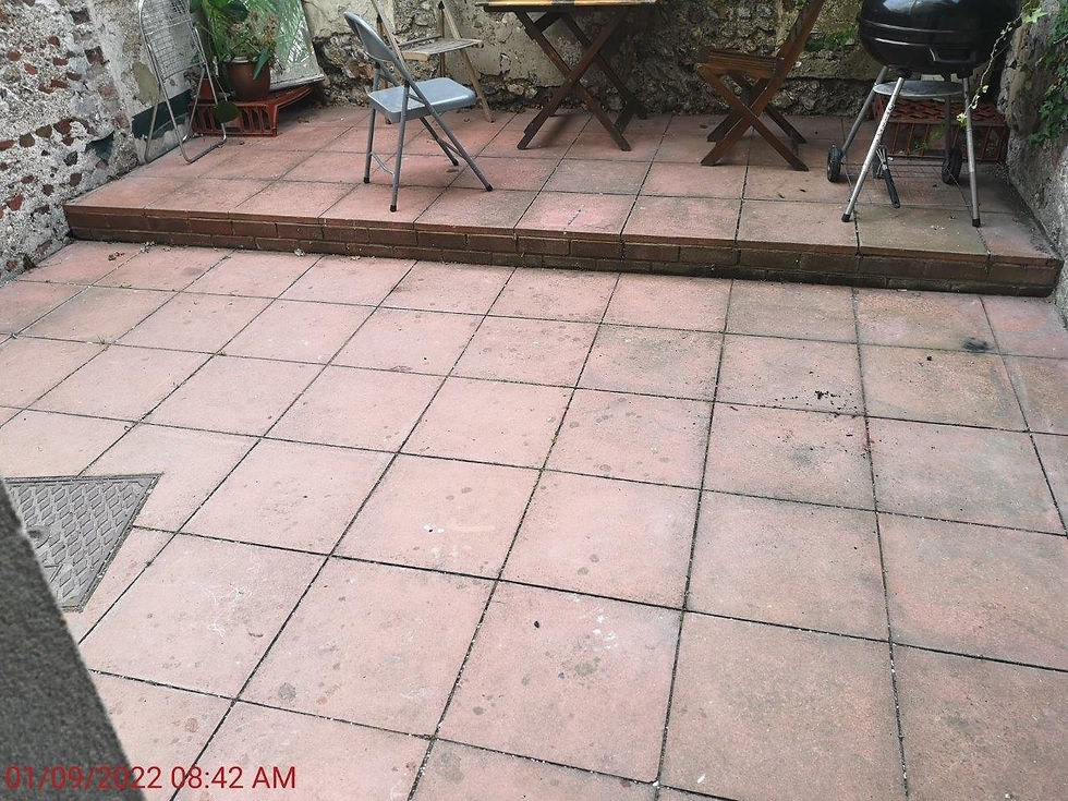 46ngbackgarden11