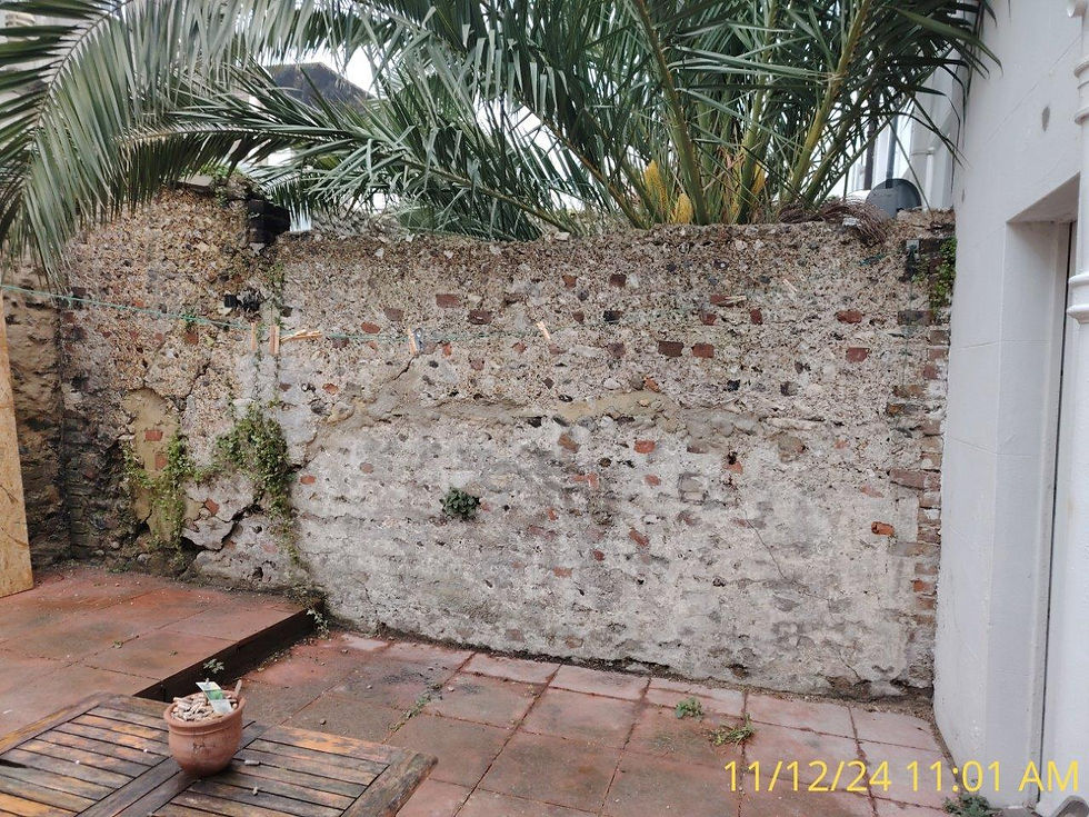 46ngbackgarden6