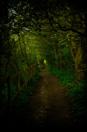 Landscape 1138