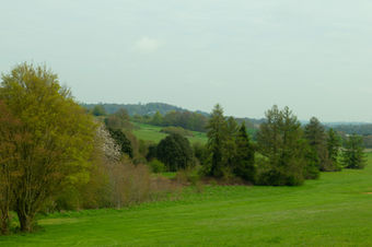 Landscape 1306