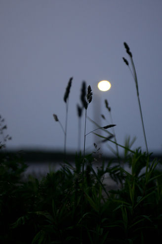 314FAC6F-9022-46A4-A022-DA7E63658DD7_1_201_a.jpeg