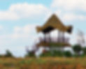 Machaan_edited_edited.jpg