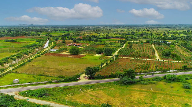 Aerial shot 227 (2).jpg