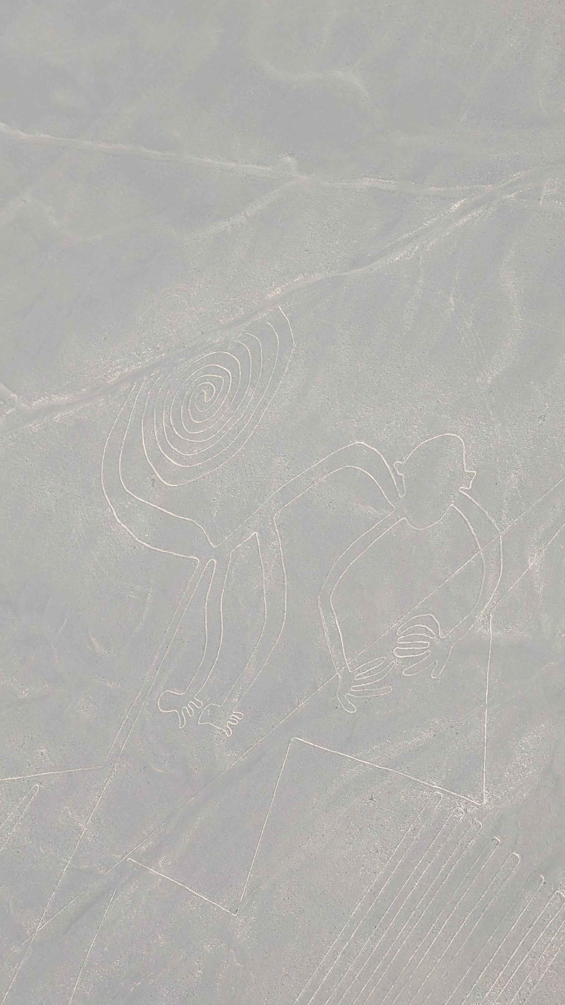 the monkey, Nazca Lines photos