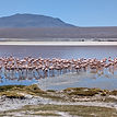Colorada Lake Lagunas Route