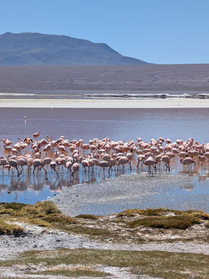 How much we spend driving the Pan American Highway