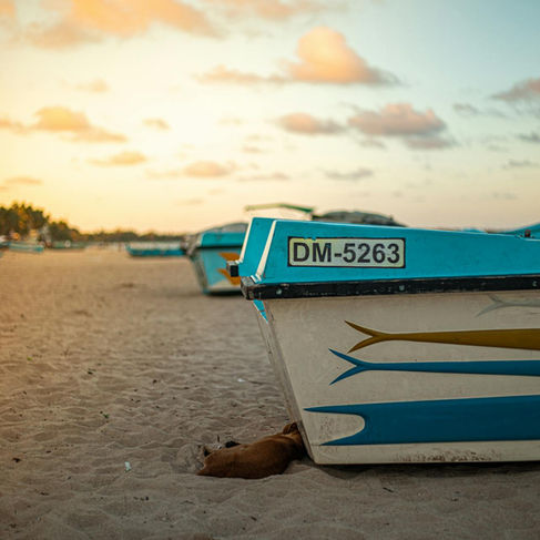 local fishing boats at dutch bay beach trincomalee